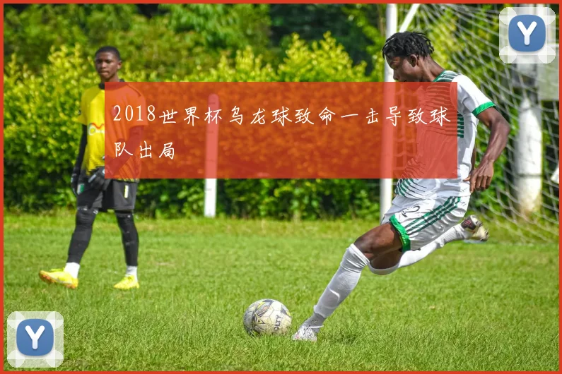2018世界杯乌龙球致命一击导致球队出局